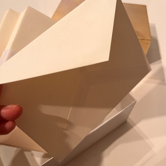 Cream Colored Invitation Envelopes (Set of 47)‎ - Picture 1 of 9